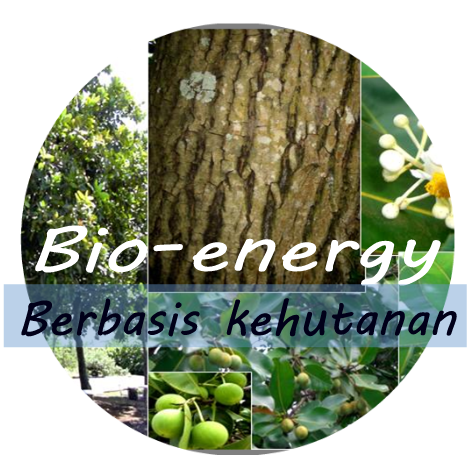 bioenergi